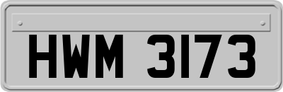 HWM3173