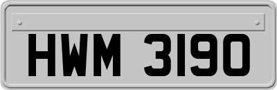 HWM3190