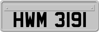 HWM3191