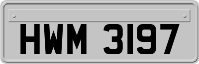 HWM3197