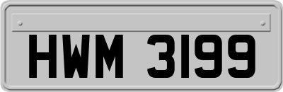 HWM3199