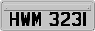 HWM3231