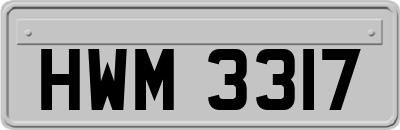 HWM3317