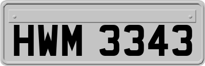 HWM3343