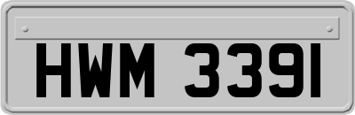 HWM3391