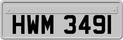 HWM3491