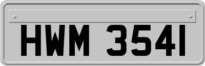 HWM3541
