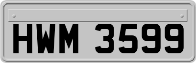 HWM3599