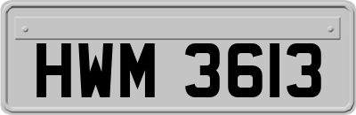 HWM3613