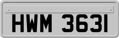HWM3631