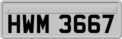 HWM3667