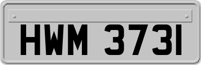 HWM3731