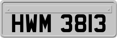 HWM3813