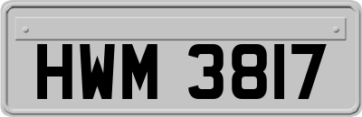 HWM3817
