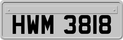 HWM3818