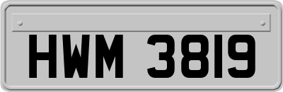 HWM3819