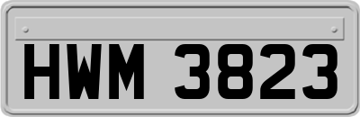 HWM3823