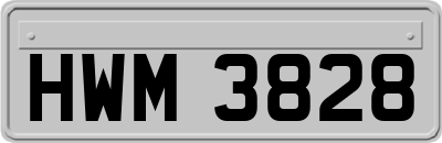 HWM3828