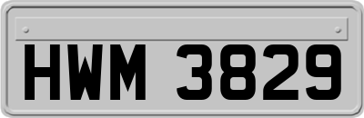 HWM3829