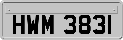 HWM3831