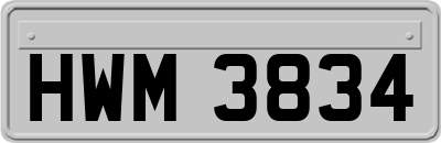 HWM3834