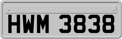 HWM3838