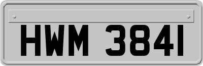 HWM3841
