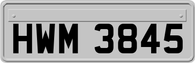 HWM3845