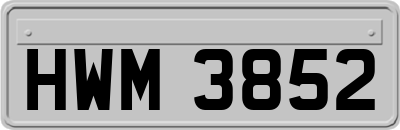 HWM3852