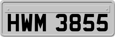 HWM3855