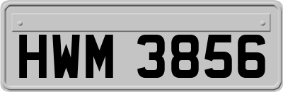 HWM3856