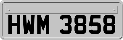HWM3858