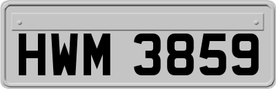 HWM3859