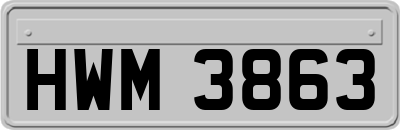 HWM3863