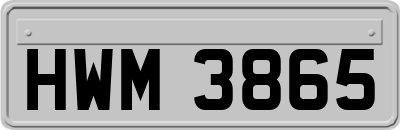 HWM3865