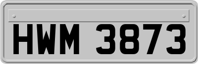 HWM3873