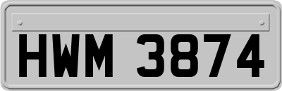 HWM3874