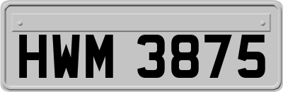 HWM3875
