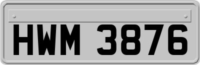 HWM3876