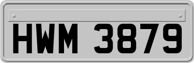 HWM3879