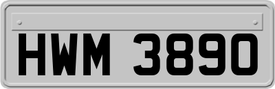HWM3890