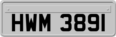 HWM3891