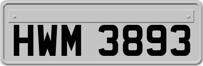 HWM3893