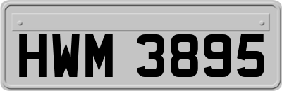HWM3895