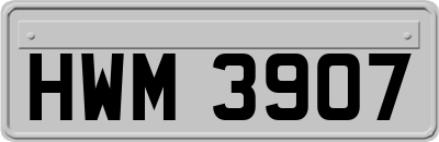 HWM3907