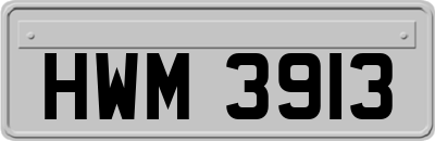 HWM3913