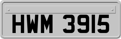 HWM3915