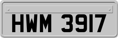HWM3917