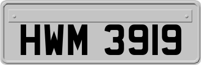 HWM3919