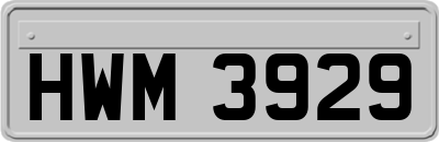 HWM3929